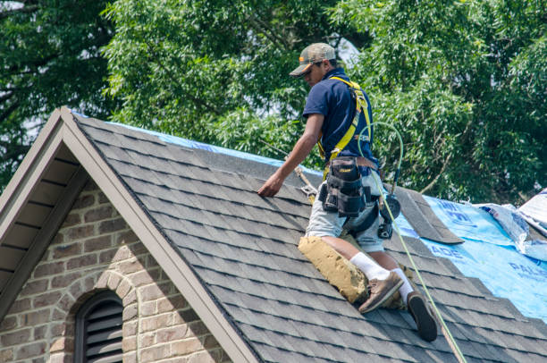 Best Roof Gutter Cleaning  in Hampton, SC